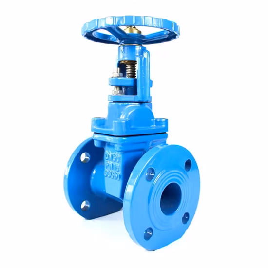 BS 5150/ DIN 3352 F4 F5/ Awwa C515 com flange dupla 2